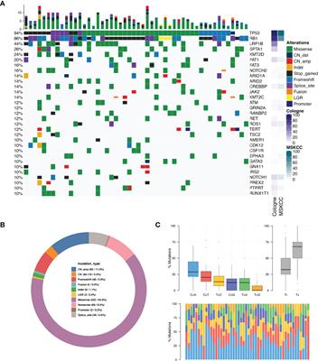 Profiling of 520 Candidate Genes in 50 Surgically Treated Chinese Small Cell Lung Cancer Patients